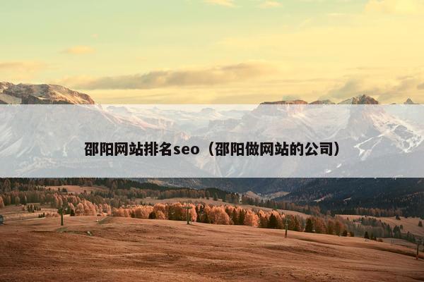 邵阳网站排名seo（邵阳做网站的公司）