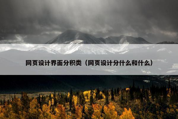 网页设计界面分积类（网页设计分什么和什么）