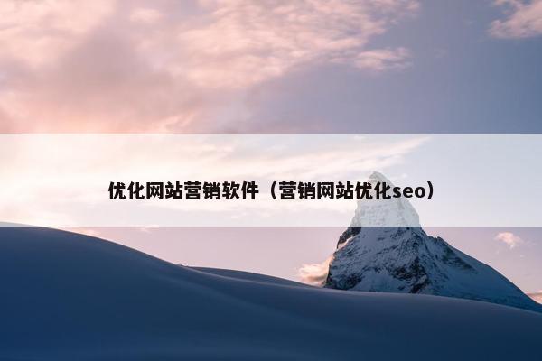 优化网站营销软件（营销网站优化seo）