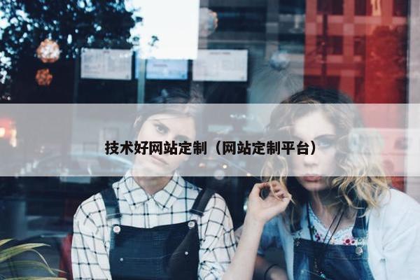 技术好网站定制（网站定制平台）