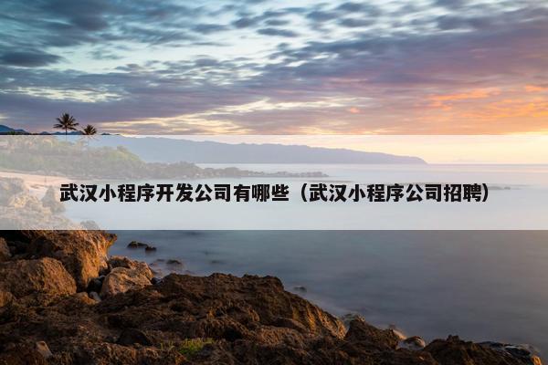 武汉小程序开发公司有哪些（武汉小程序公司招聘）