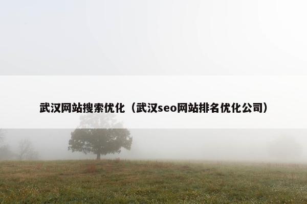 武汉网站搜索优化（武汉seo网站排名优化公司）