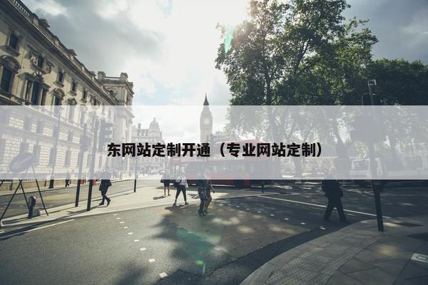 东网站定制开通（专业网站定制）