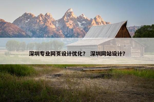 深圳专业网页设计优化？ 深圳网站设计？