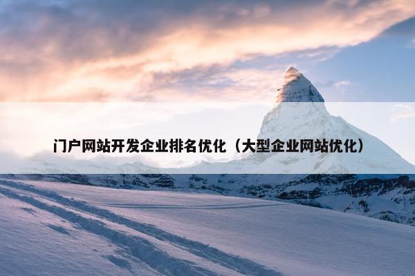 门户网站开发企业排名优化（大型企业网站优化）