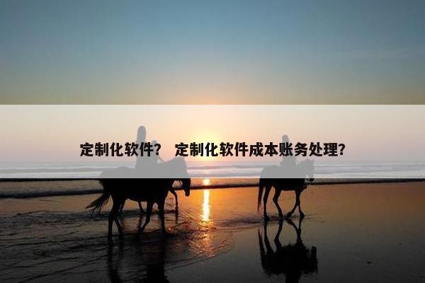 定制化软件？ 定制化软件成本账务处理？