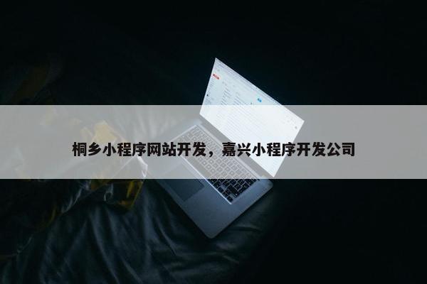 桐乡小程序网站开发，嘉兴小程序开发公司