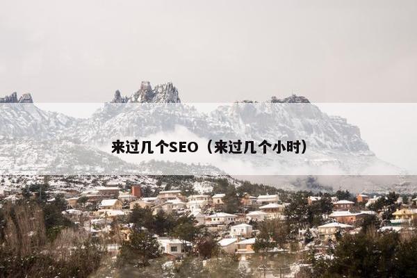 来过几个SEO（来过几个小时）