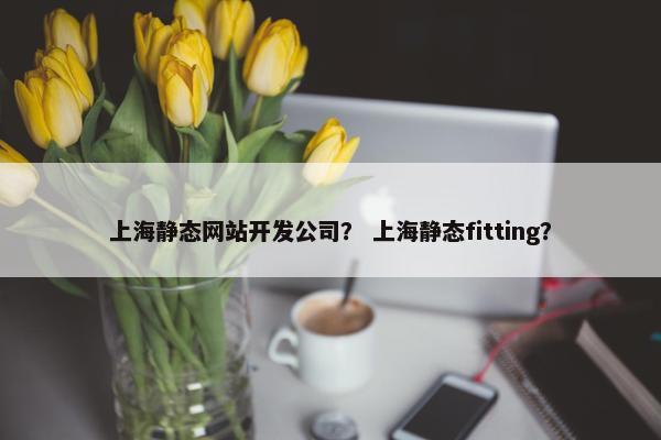 上海静态网站开发公司？ 上海静态fitting？