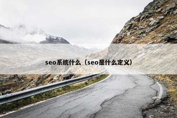seo系统什么（seo是什么定义）