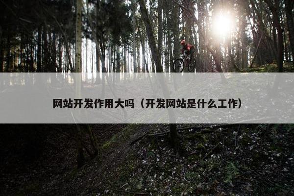 网站开发作用大吗（开发网站是什么工作）