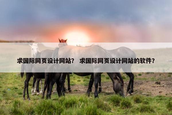 求国际网页设计网站？ 求国际网页设计网站的软件？