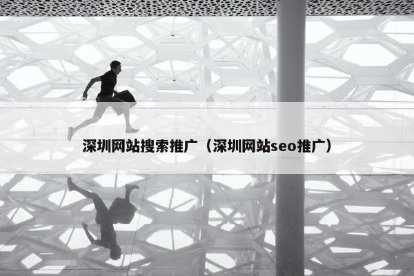 深圳网站搜索推广（深圳网站seo推广）