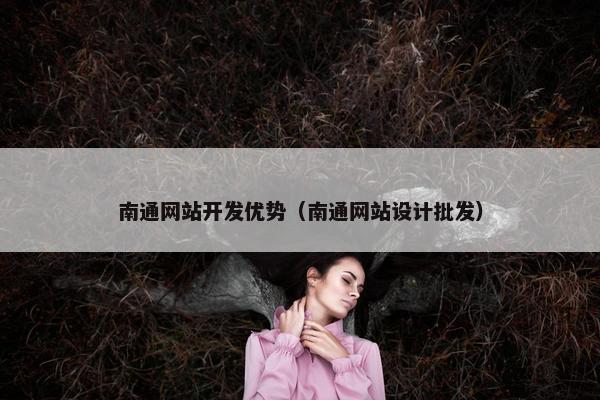 南通网站开发优势（南通网站设计批发）