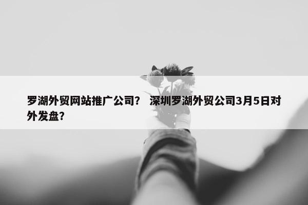 罗湖外贸网站推广公司？ 深圳罗湖外贸公司3月5日对外发盘？
