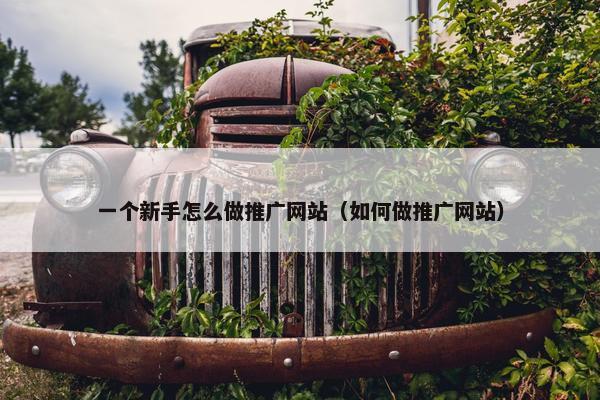 一个新手怎么做推广网站（如何做推广网站）