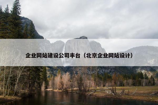 企业网站建设公司丰台（北京企业网站设计）