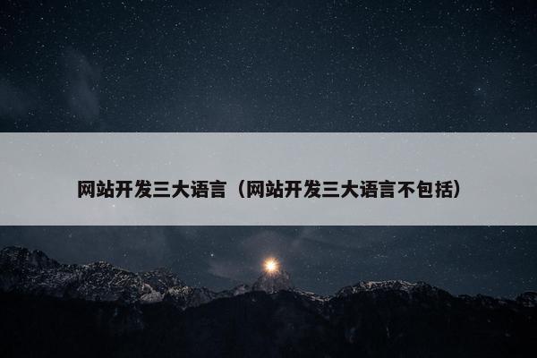 网站开发三大语言（网站开发三大语言不包括）