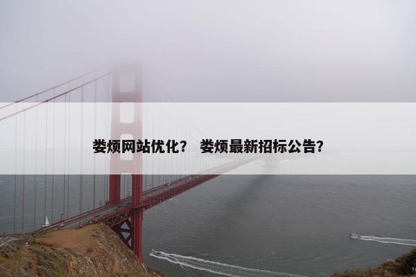 娄烦网站优化？ 娄烦最新招标公告？