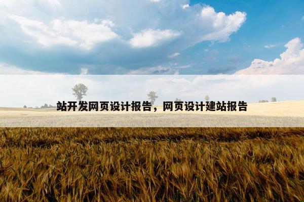 站开发网页设计报告，网页设计建站报告