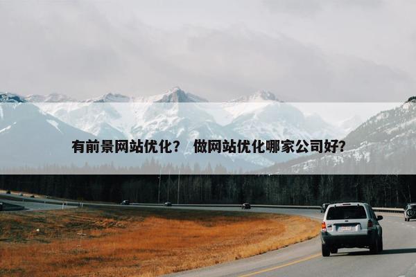 有前景网站优化？ 做网站优化哪家公司好？