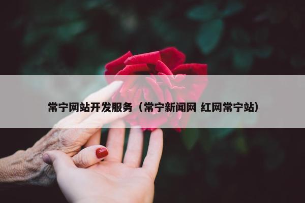 常宁网站开发服务（常宁新闻网 红网常宁站）