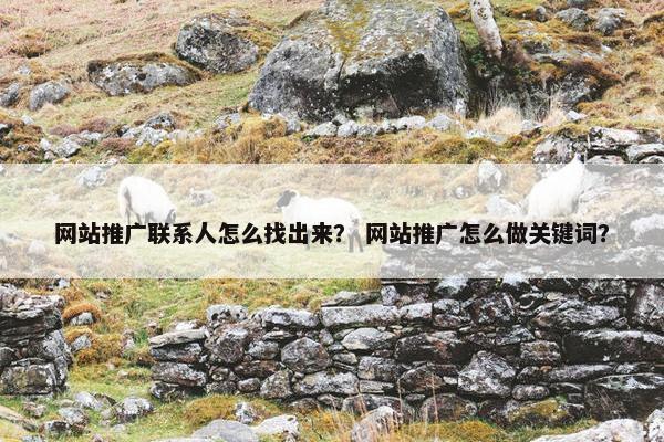 网站推广联系人怎么找出来？ 网站推广怎么做关键词？