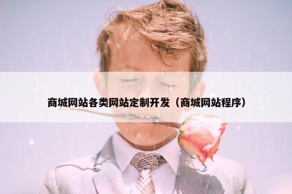 商城网站各类网站定制开发（商城网站程序）