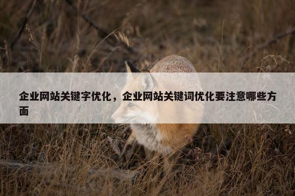 企业网站关键字优化，企业网站关键词优化要注意哪些方面