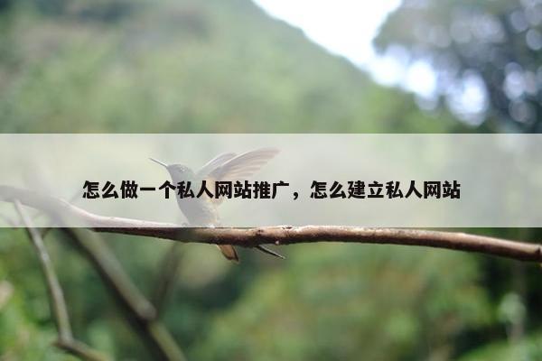 怎么做一个私人网站推广，怎么建立私人网站