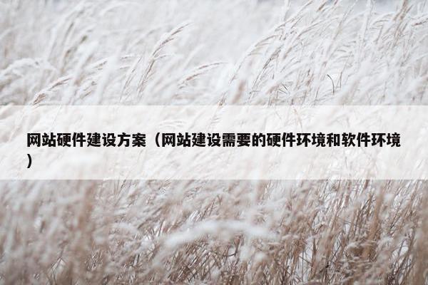 网站硬件建设方案（网站建设需要的硬件环境和软件环境）