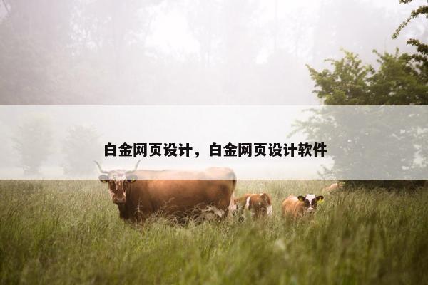 白金网页设计，白金网页设计软件