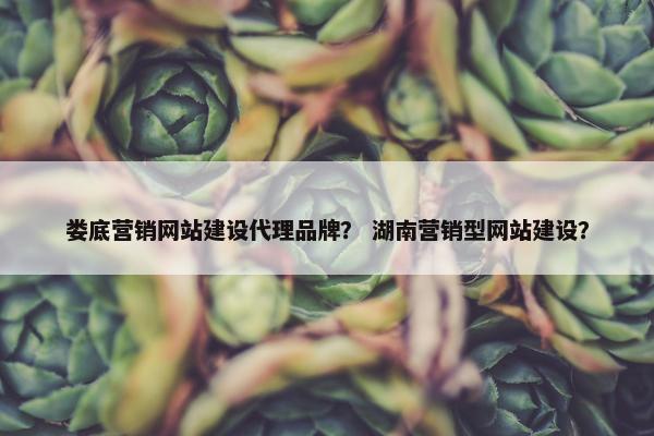 娄底营销网站建设代理品牌？ 湖南营销型网站建设？