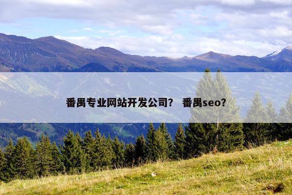 番禺专业网站开发公司？ 番禺seo？