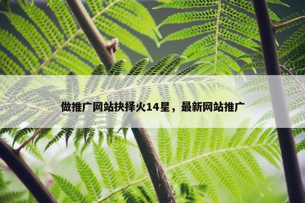 做推广网站抉择火14星，最新网站推广