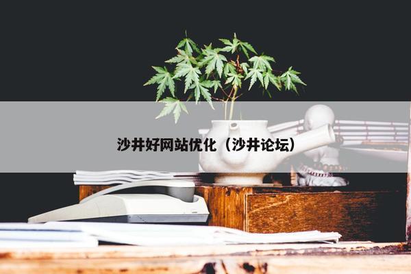 沙井好网站优化（沙井论坛）