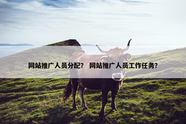 网站推广人员分配？ 网站推广人员工作任务？