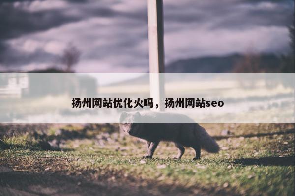 扬州网站优化火吗，扬州网站seo