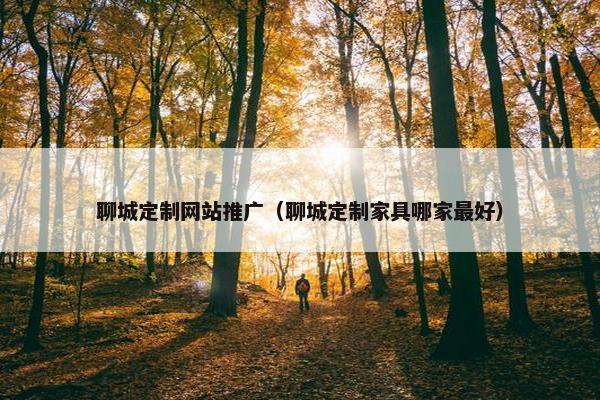 聊城定制网站推广（聊城定制家具哪家最好）
