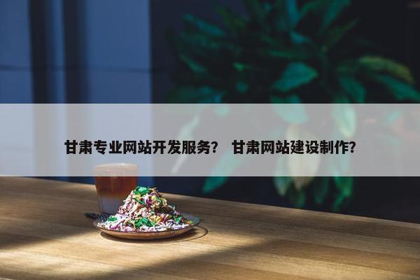 甘肃专业网站开发服务？ 甘肃网站建设制作？