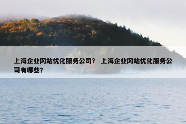 上海企业网站优化服务公司？ 上海企业网站优化服务公司有哪些？