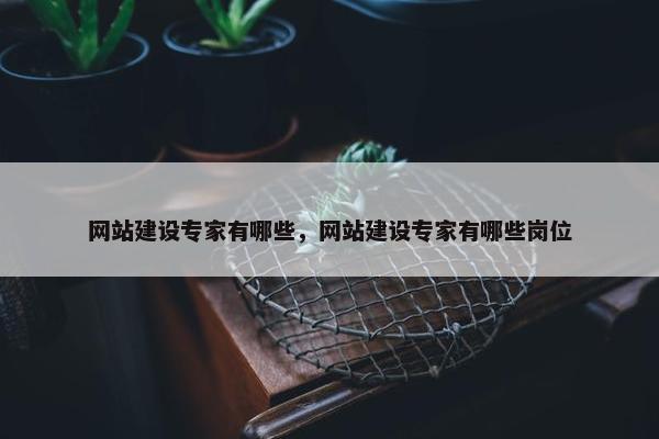 网站建设专家有哪些，网站建设专家有哪些岗位