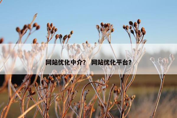 网站优化中介？ 网站优化平台？