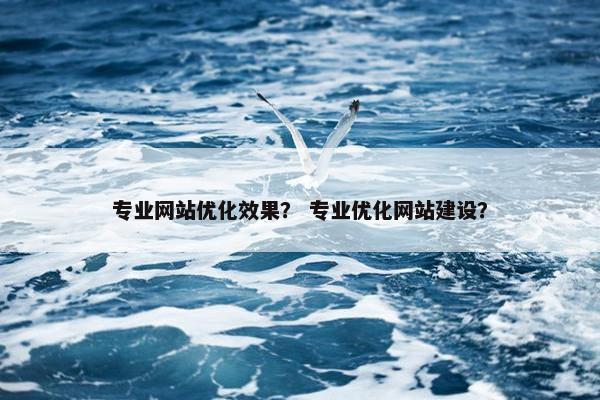 专业网站优化效果？ 专业优化网站建设？