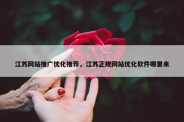江苏网站推广优化推荐，江苏正规网站优化软件哪里来