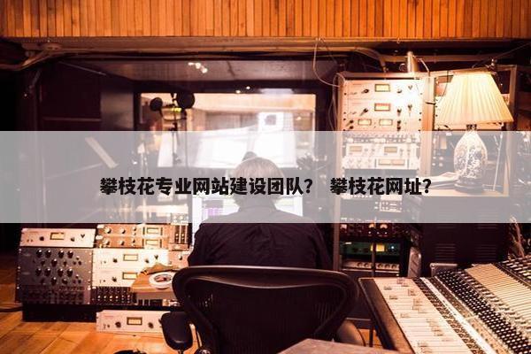 攀枝花专业网站建设团队？ 攀枝花网址？