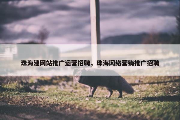 珠海建网站推广运营招聘，珠海网络营销推广招聘