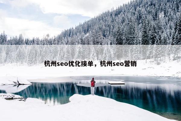 杭州seo优化接单，杭州seo营销