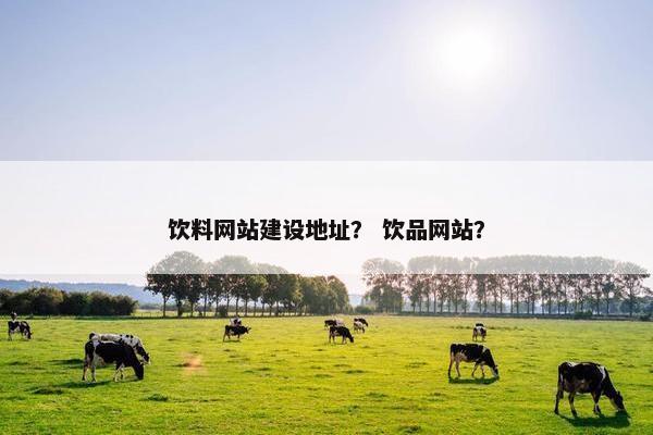 饮料网站建设地址？ 饮品网站？