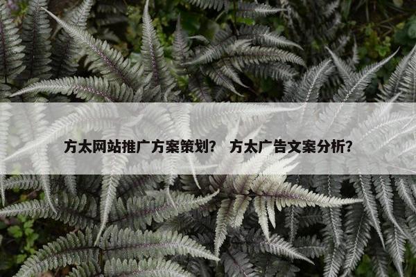 方太网站推广方案策划？ 方太广告文案分析？
